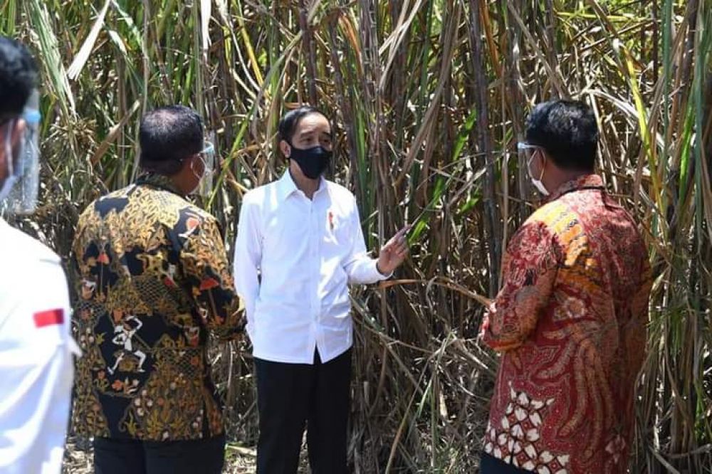 Jokowi Resmikan Pabrik Gula di Bombana