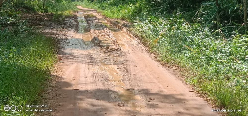 Warga Sungai Pandan Tebo, Keluhkan Jalan Poros Menuju Kabupaten