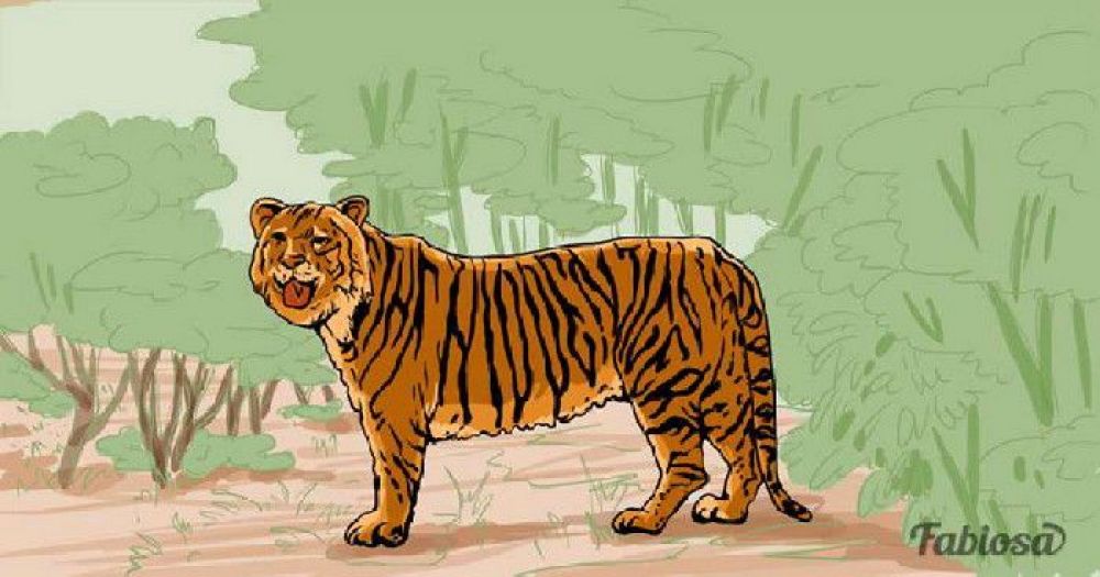 Tes IQ! Ada Gambar Harimau Tersembunyi Lain, Apa Kamu Bisa Temukan?