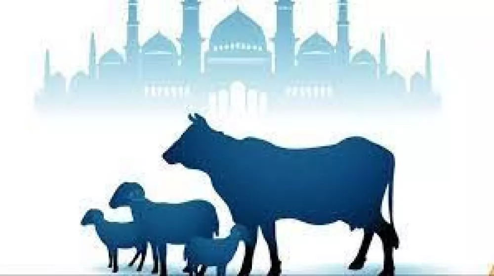Ternyata Daging Hewan Qurban Bisa Jadi Haram Untuk Dimakan