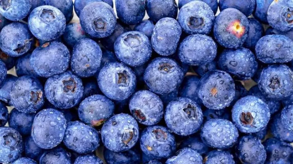 Buah Ini Bisa Nambah Usia Setahun Jika Dimakan