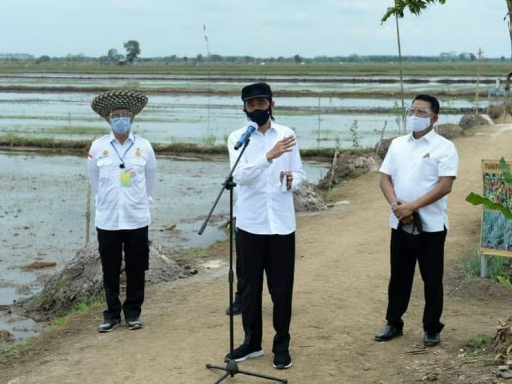 Kembangkan PB,Jokowi Harap Penghasilan Petani Dapat Meningkat