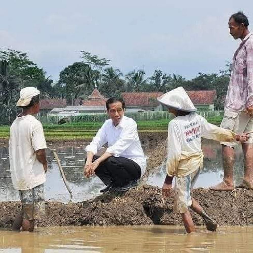 Survei IPI, 55,4% Millenial Percaya Jokowi Bisa Atasi Covid-19