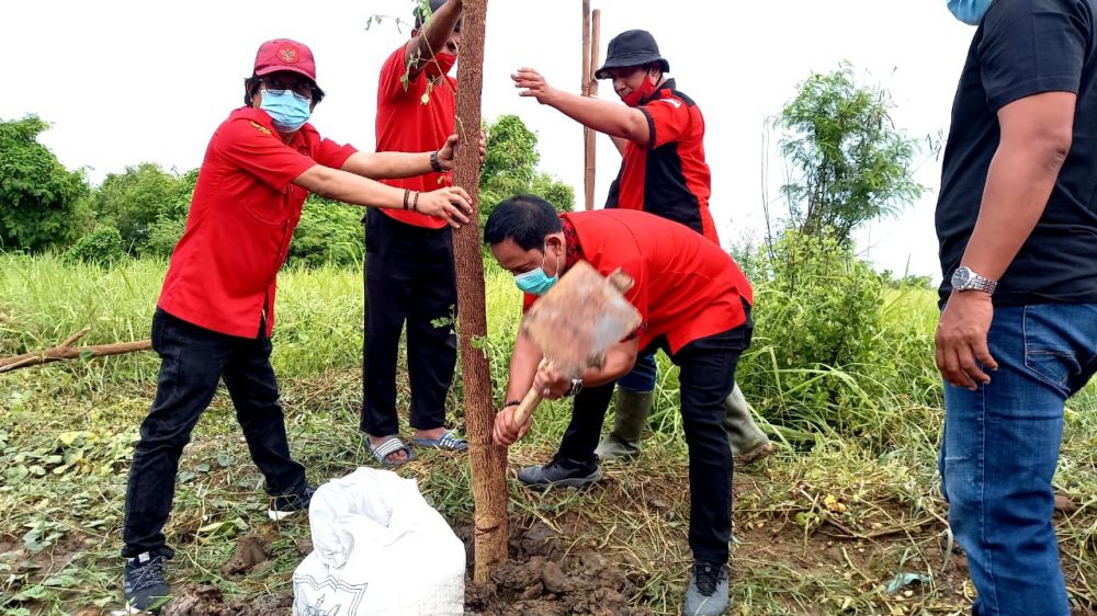 HUT Ke-48 PDIP Surabaya Gerak Tanam Pohon Bersama Rakyat