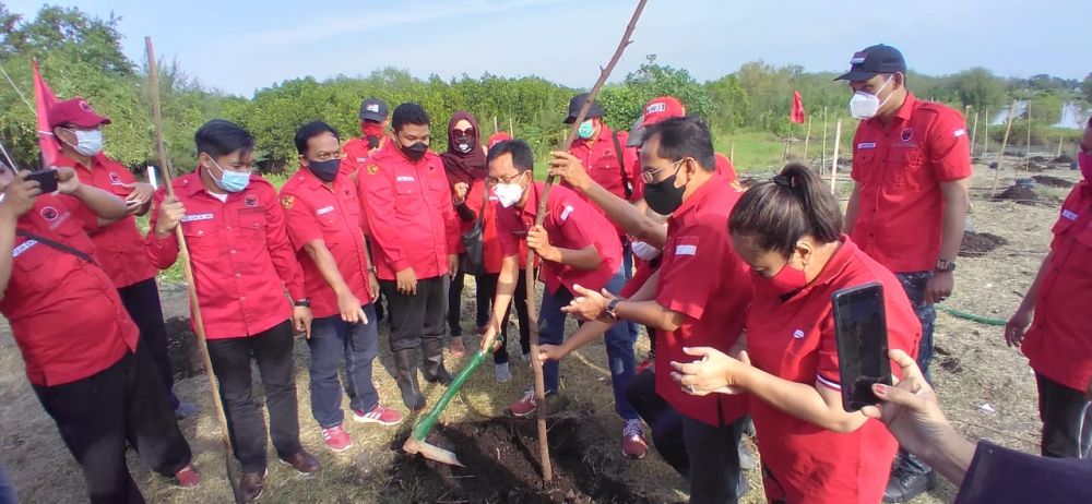 Peringati HUT Megawati,DPC PDIP Surabaya Tanam Pohon Cemara Udang