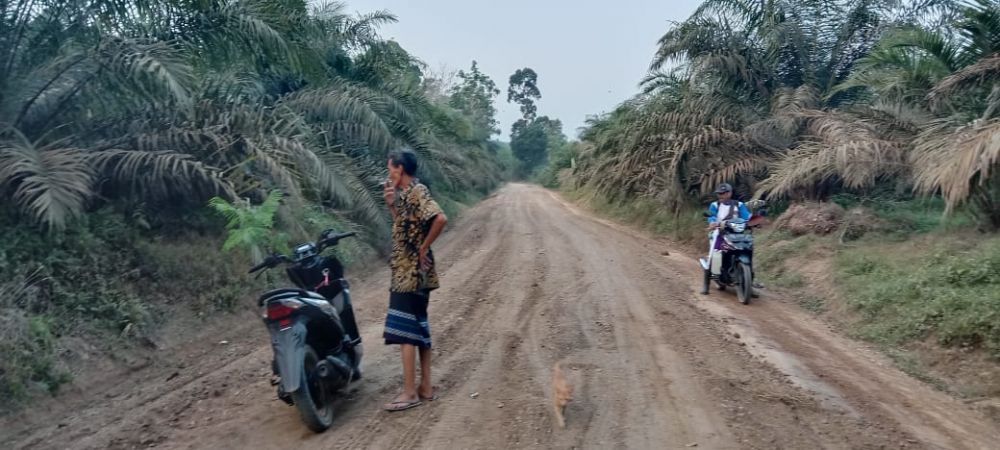 Warga Desa PPL Tebo, Minta Pengaspalan Jalan Untuk Akses ke Kecamatan