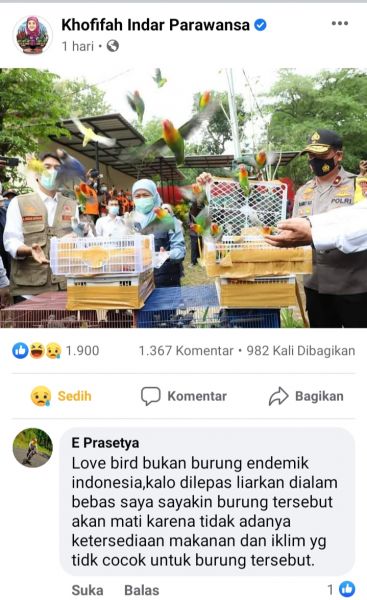 Gara Gara Lepas Love Bird,Kofifah Dicibir Netizen