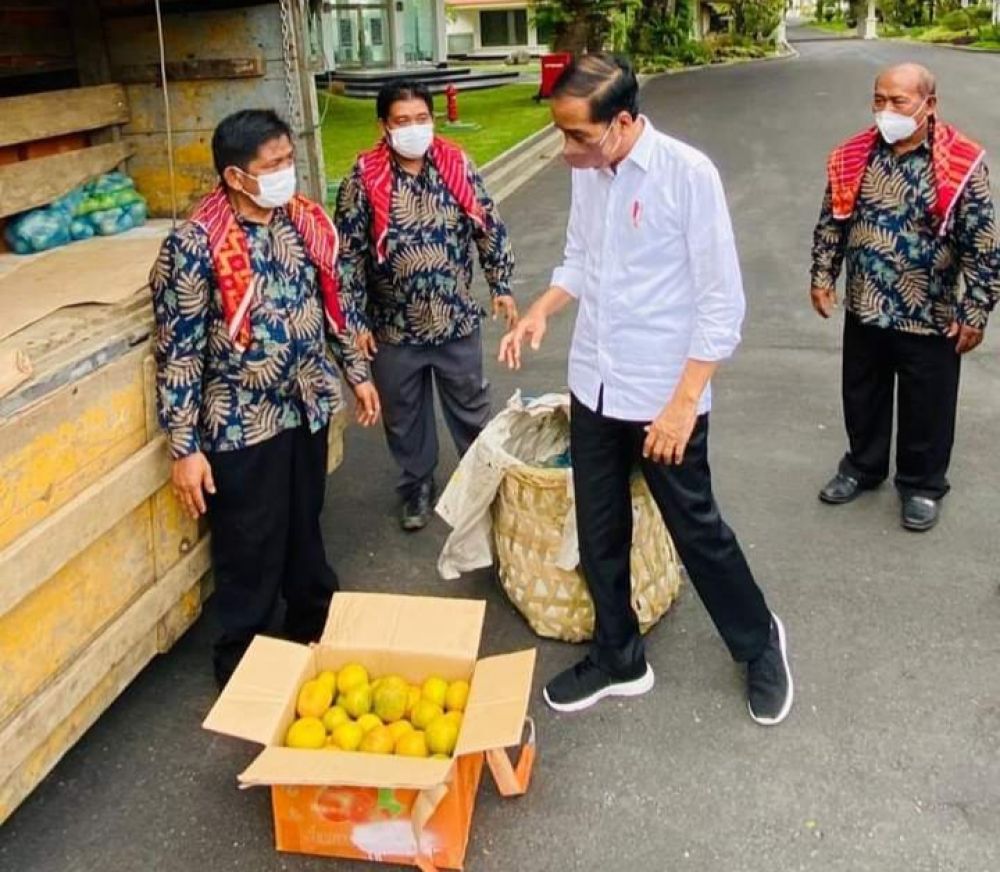 Warga Liang Melas Datas Bawa 3 Ton Jeruk Minta Jokowi Perbaiki Jalan