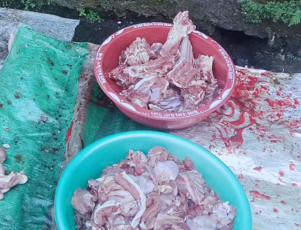 Hukum Menyimpan Daging Qurban Lebih Dari 3Hari, Bolehkah?