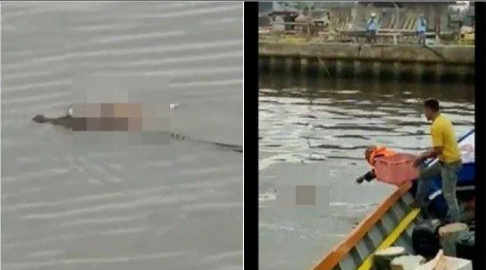 Buaya Berhati Emas, Antar Jasad Bayi Utuh Yang Dinyatakan Hilang