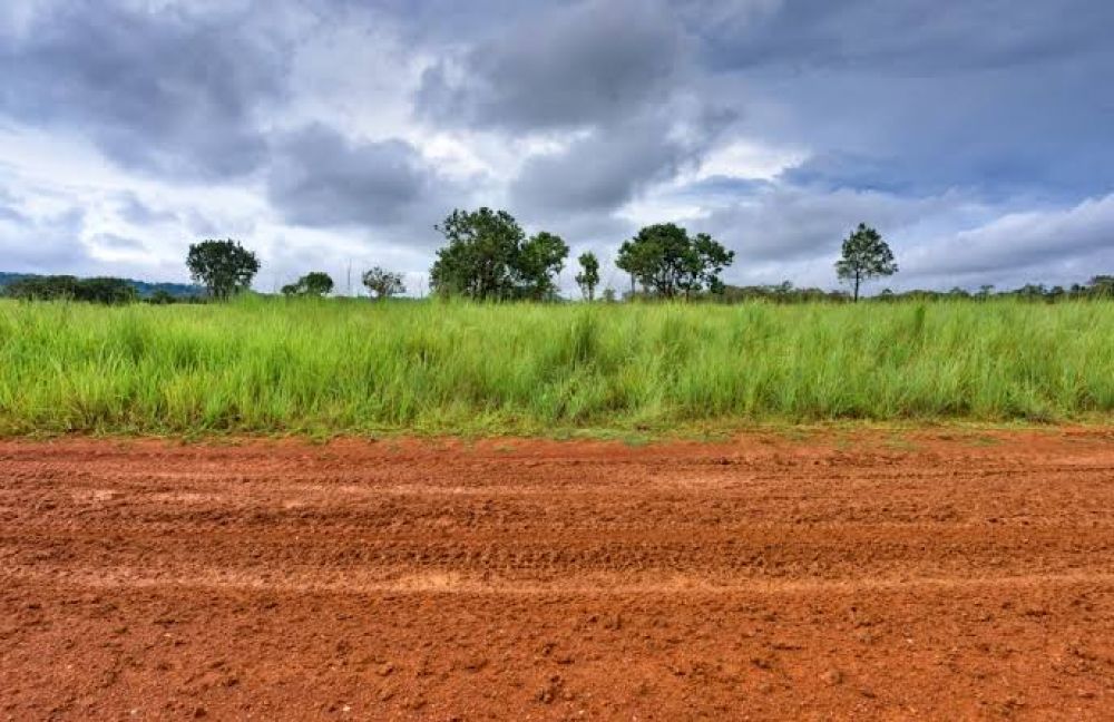 Reforma Agraria Wujudkan Kesejahteraan dan Keadilan Bagi Masyarakat