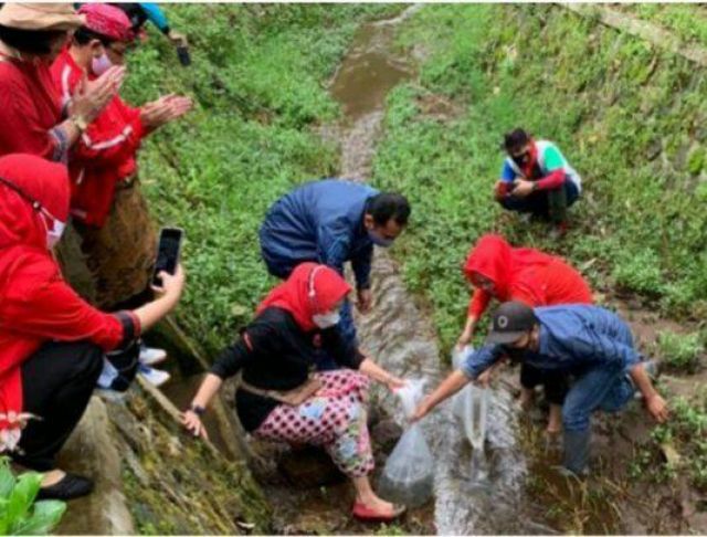 PDI-P Jatim Peringati HUT Ke-48 Bagi Tumpeng,Tanam Pohon & Bersih Kali